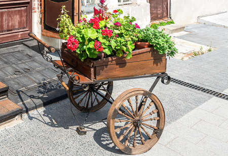 Decorative flowers in vintage wooden cart in summer sunny dayの写真素材
