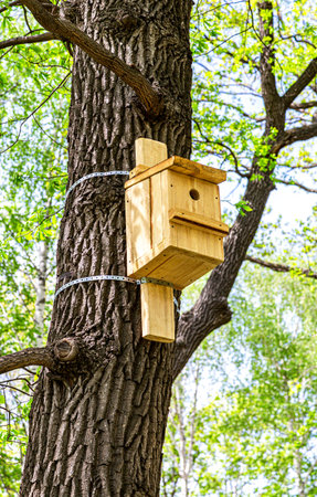 Wooden bird house hanging from a tree with green leaves