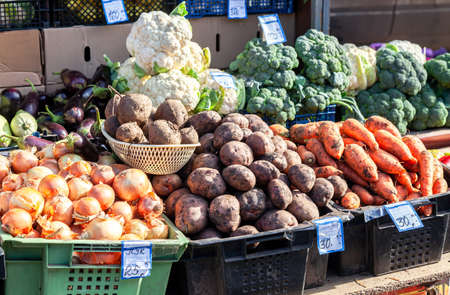 Various fresh organic vegetables selling at farmers marketの写真素材