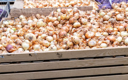Fresh onions of new harvest are sold at the grocery storeの写真素材