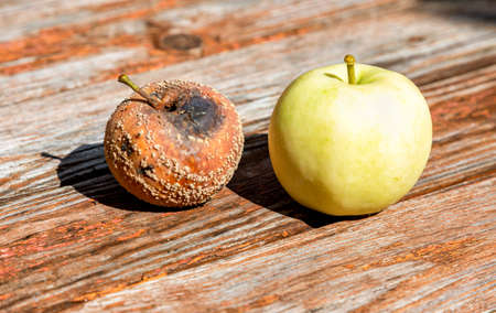 Fresh and rotten apples lie on a weathered wooden table close upの写真素材
