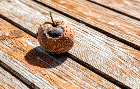 Rotten apple on the old weathered wooden table close upの写真素材