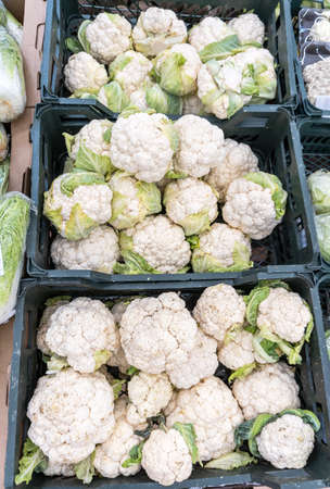 Fresh ripe organic cauliflower in a plastic boxes at the superstoreの写真素材