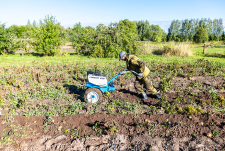 Borovichi, Russia - September 10, 2022: Man farmer working in field on harvesting potatoes with walk-behind tractorのeditorial素材