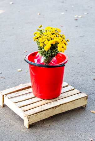 Bouquet of yellow flowers in a red plastic bucket outdoorsの写真素材