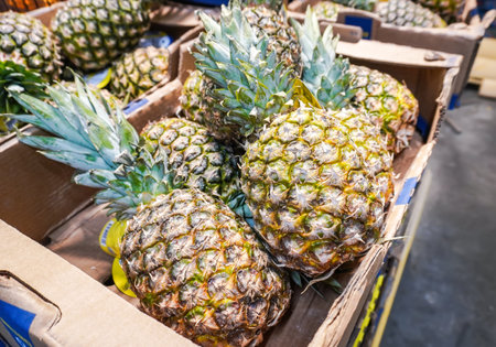 Fresh pineapples ready for sale at the chain superstoreの写真素材