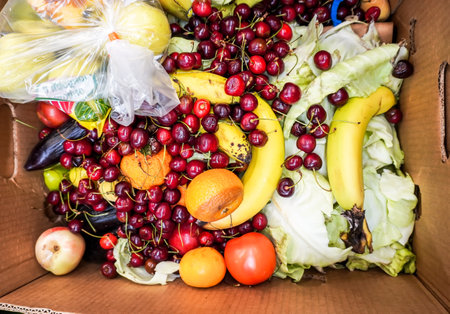 Ð¡ardboard box with spoiled rotten vegetables and fruits. Food loss and Food Waste. Discarded unsold damaged fruits and vegetables in a rubbish binの写真素材