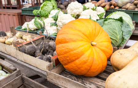 Ripe orange pumpkin, cauliflower, beets and other vegetables are sold at a local farmers marketの写真素材