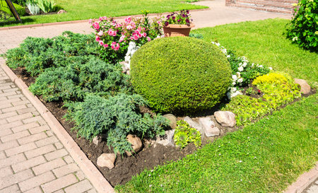 Decorative shrub and flower bed with ornamental plants and flowers in a garden. Landscape designの写真素材