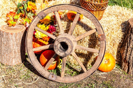 Autumn composition with old wooden cartwheel, straw and pumpkins in sunny dayの写真素材