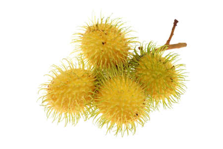 Yellow Ripe Rambutansの写真素材