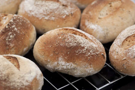 Freshly Baked Cumin Rollsの写真素材