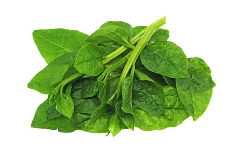 Ceylonese Spinachの写真素材