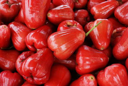 Red Java Applesの写真素材