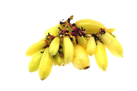 Averrhoa Balimbing - Tropical tart fruits usually used in cooking with seafoodの写真素材