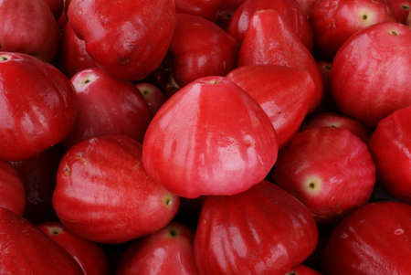 Red Java Applesの写真素材