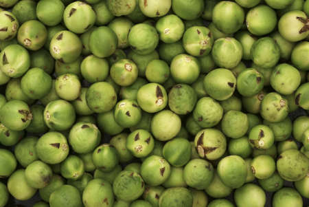 Thai Pea Eggplantsの写真素材