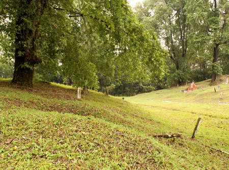 Chinese Cemeteryの写真素材