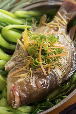 Steamed Fish on Bed of Bok Choi; Non sharpened fileの写真素材