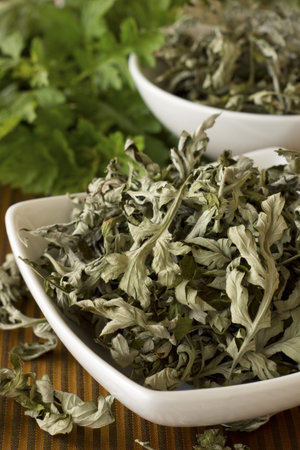 Dried Mugwort or Artemisia vulgaris; Non sharpened file