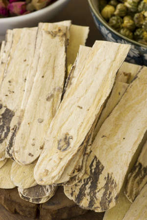 Astragalus membranaceus or Huang qi, Non sharpened fileの写真素材