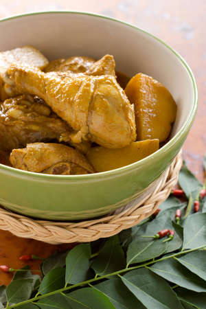 Malayan Chicken and Potato Curry. Non sharpenの写真素材