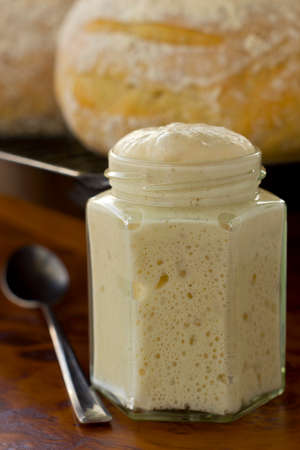 Sourdough starter fermenting and starts to be ripen. Sourdough bread in background. Non Sharpenの写真素材