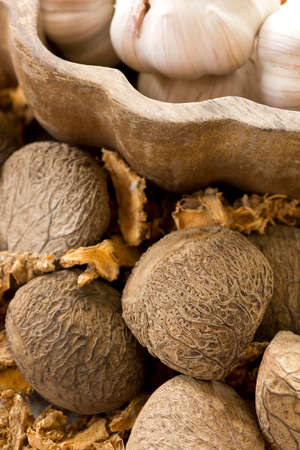 Buah Keluak, Pangium edule; not sharpened fileの写真素材