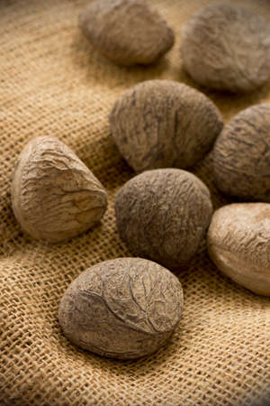 Buah Keluak, Pangium edule; not sharpened fileの写真素材