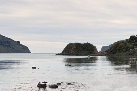 Beautiful calm day at Wainui Bay, Akaroa Harbour, Canterbury, New Zealand. Rocky shore with...