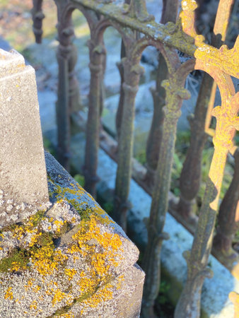 Close up of headstone in rural New Zealand. Lichen and moss cover concrete gravestone with iron...