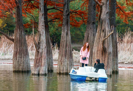 Anapa, Russia - November 4, 2017: Young couple sailing on paddle boat and taking photos by wood of red swamp cypresses growing in Sukko lake. Water attractions and outdoor leisure activities at autumnのeditorial素材
