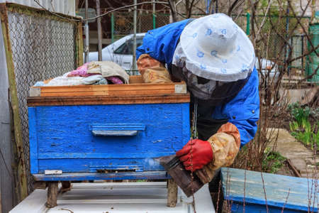 Beekeeper man in protection mask and other work equipment fumigating bee hive and collecting honey on countryside household apiary farm.の写真素材