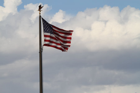 usa flag