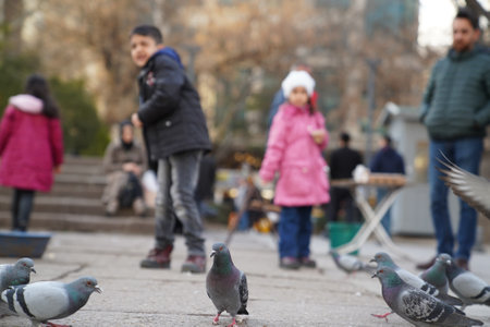 Ankara/Turkey-March 3 2018: Children feeding pigeons and enjoying the day in Kizilay, City center of Ankaraのeditorial素材