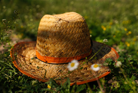 Straw hat on green grass with blurred daisiesの写真素材