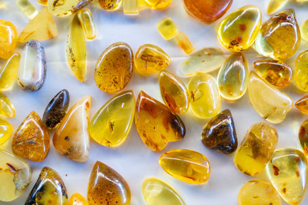 Different pieces, colors, shapes and structure of amber on a white background. Transparent and...