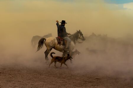 Western cowboy riding horses with dog in cloud of dust in the sunsetの写真素材