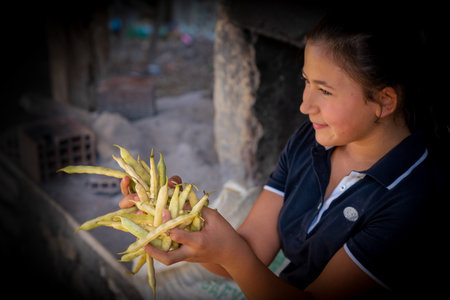Cukuroren, Bilecik / Turkey -September 08 2019: Young girl holding green beans in her hand.のeditorial素材