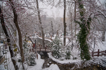 Ankara/Turkey-December 06 2019: Kugulu Park is a popular place to enjoy the day. Kugulu park under snow in winterのeditorial素材
