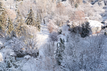 Ankara/Turkey-December 13 2018- Botanical Garden in winter time and trees under snow.のeditorial素材