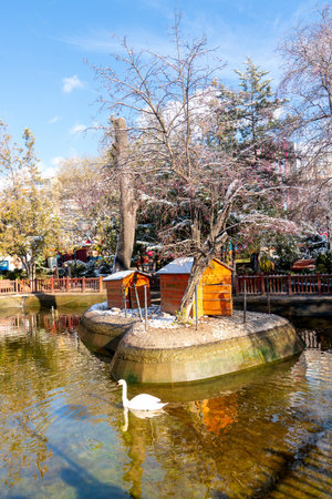 Ankara, Turkey - December 13 2018: Kugulu Park is a popular place to enjoy the day and feed bird.のeditorial素材