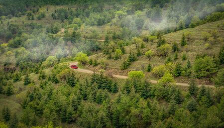 Winding dirt road through the pine forest and a red car driving on the roadの写真素材