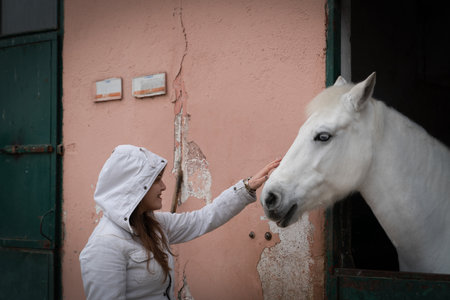 Ankara/Turkey - December 28 2019:  Young girl in white coat stroking a beautiful white horse on the head.のeditorial素材