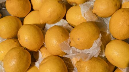 Ripe Yellow Lemons Close-up Background Or Texture. Lemon Harvest, Many Yellow Lemons.の写真素材