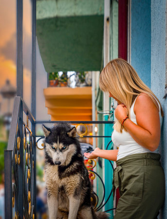 Batumi, Adjara/Georgia - August 05 2019:  Wolf or husky sitting in front of a house and unidentified...