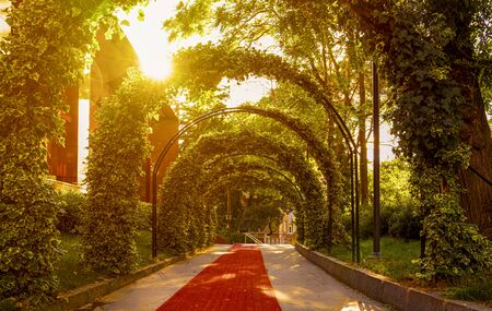 Beautiful garden archway. Lush green hanging foliage forming dramatic archway with sunset light streaming through in scenic gardenの写真素材