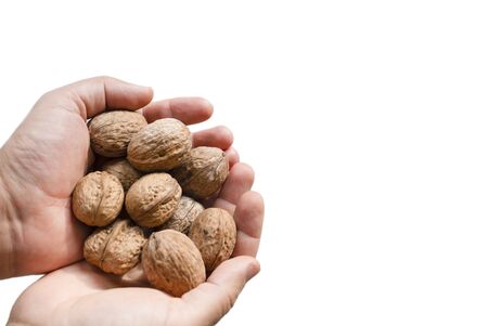 Group of walnuts lie on the palms of a man on a white background.の写真素材