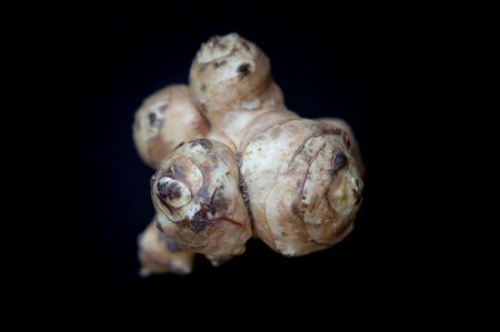 Closeup view of one tuber for breastfeeding or Jerusalem artichoke or Jerusalem artichoke (Helianthus tuberosus) isolated on a black backgroundの写真素材
