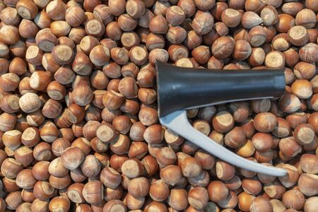 Nutcracker on hazelnut background or textureの写真素材